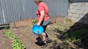 Сегодня все захотели бешбармак! Достали запасы с зимы — будет сытно, ароматно и очень вкусно!