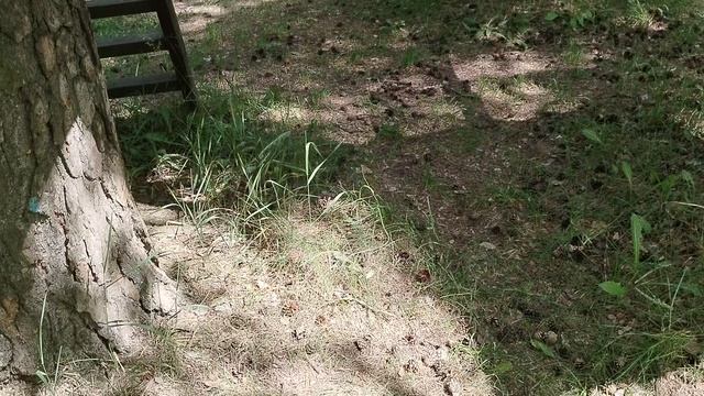 ещё одно смотреть онлайн