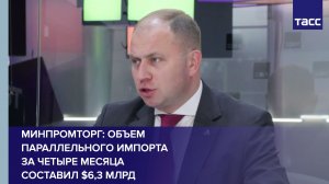 Минпромторг: объем параллельного импорта за четыре месяца составил $6,3 млрд