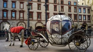 Дети на карете: в Петербурге подростки придумали опасное развлечение