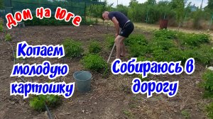 Дом на Юге. Копаем молодую картошку.  Собираюсь в дорогу. Во сколько обошлось нам ОСАГО.