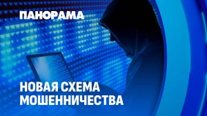 Многоходовка от мошенников: как наживаются на абитуриентах и их родителях. Панорама