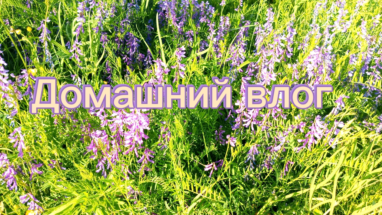 ВЛОГ. СОВСЕМ ОДИЧАЛА🙈