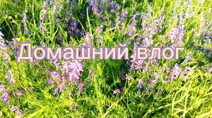 ВЛОГ. СОВСЕМ ОДИЧАЛА🙈