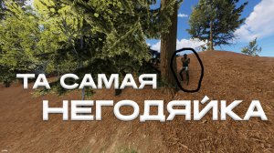ТА самая НЕГОДЯЙКА на YRS RUST | 217 DEVBLOG