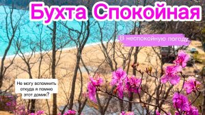 СПОКОЙНАЯ бухта/в неспокойную погоду/зачем лететь на Мальдивы, если у нас есть Приморье?/ветер /