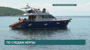 Ученые отправились в экспедиция по изучению нерпы на Байкале
