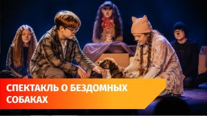 В Уфе дети сыграли постановку о бродячих собаках