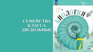Урок 16. Семейства класса двудольные