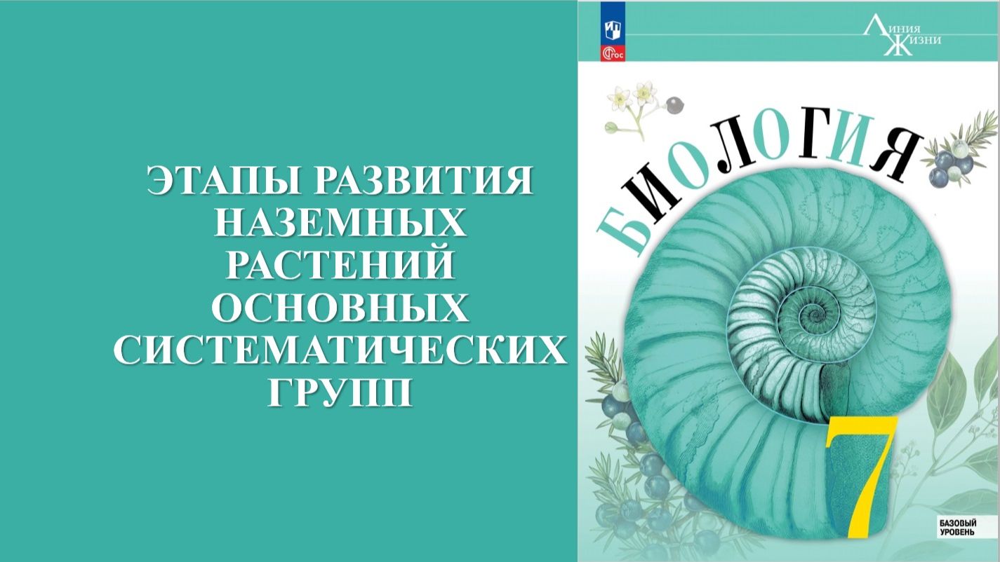 Урок 21. Этапы развития наземных растений основных систематических групп