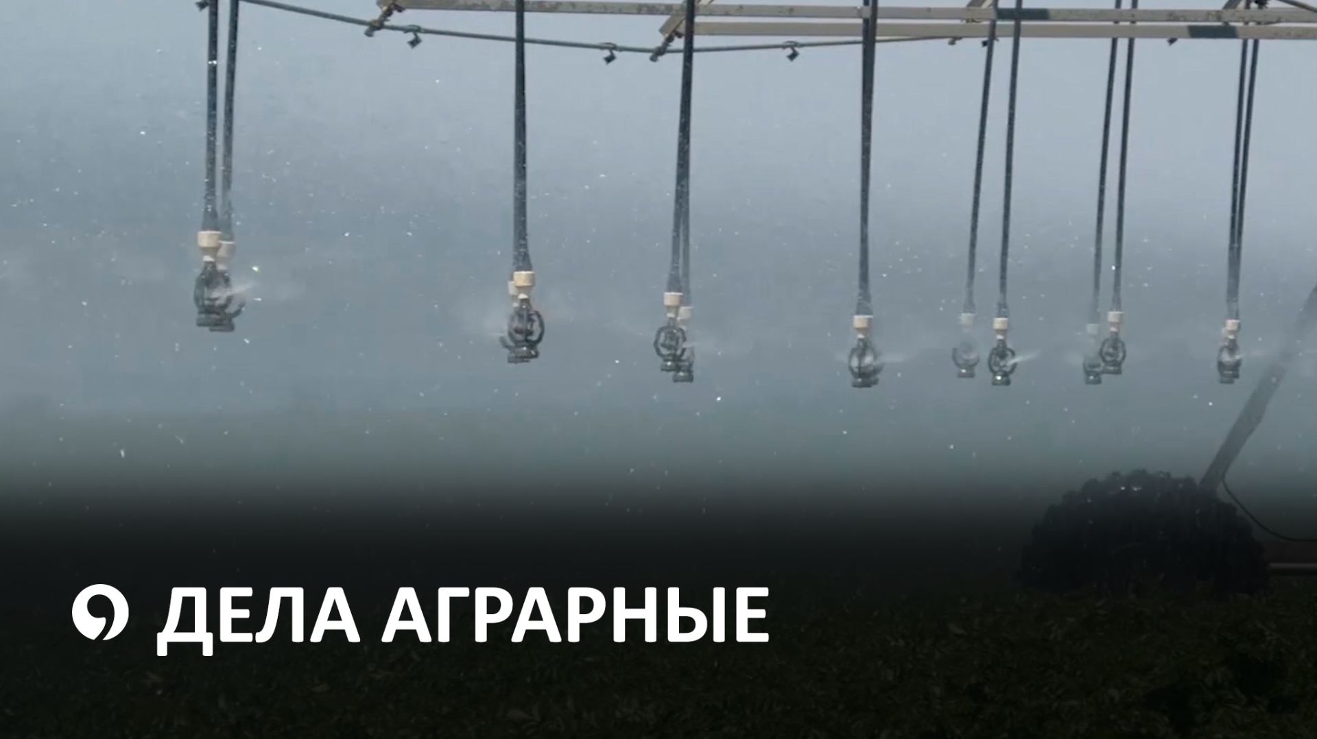 Как повлияют майские ливни на урожай Ставрополья?