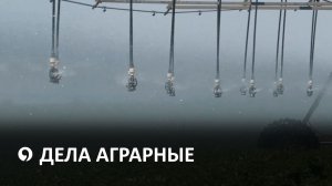 Как повлияют майские ливни на урожай Ставрополья?