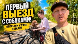 Посмотреть 7 мая Утро с Тарасом #11