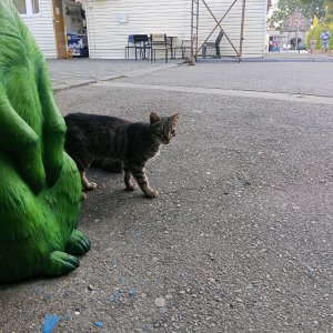 странный фрукт