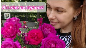 135/26. Чуть не опоздали🫣 //Розарий 🌹// Лучшее средство // Нет сил !!! // Mariya VD LIFE