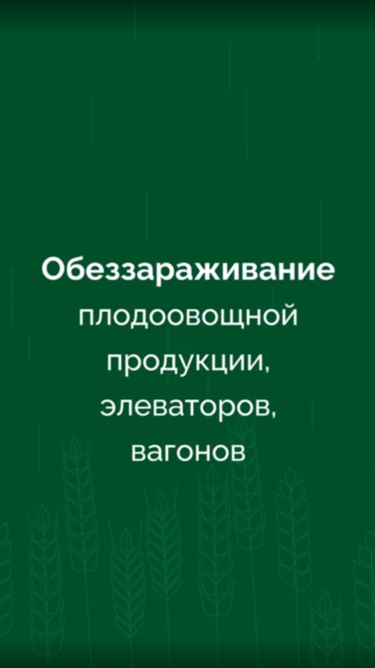 Чтобы вредитель не прошел: как проводят процедуру фумигации?