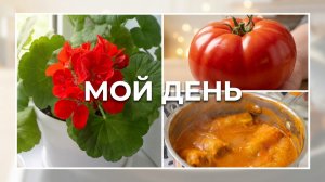 Жизнь в своем доме: хлопоты на кухне и красота в саду