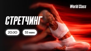 СТРЕТЧИНГ с Еленой Жиляевой | 9 июня 2026 | Онлайн-тренировки World Class