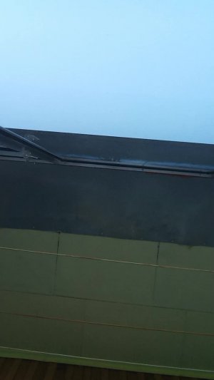 поговооим
