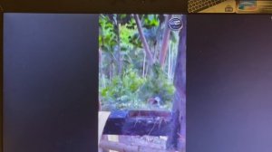 Смешное видео