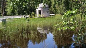 Прогулка в полдень 🌲👍✨🌞