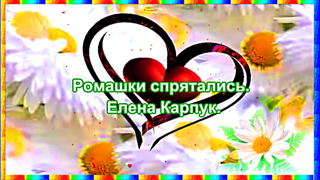 Ромашки спрятались. Елена Карпук.