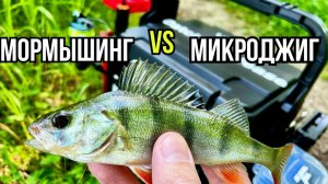 Мормышинг. Ловля капризного окуня на незнакомом пруду