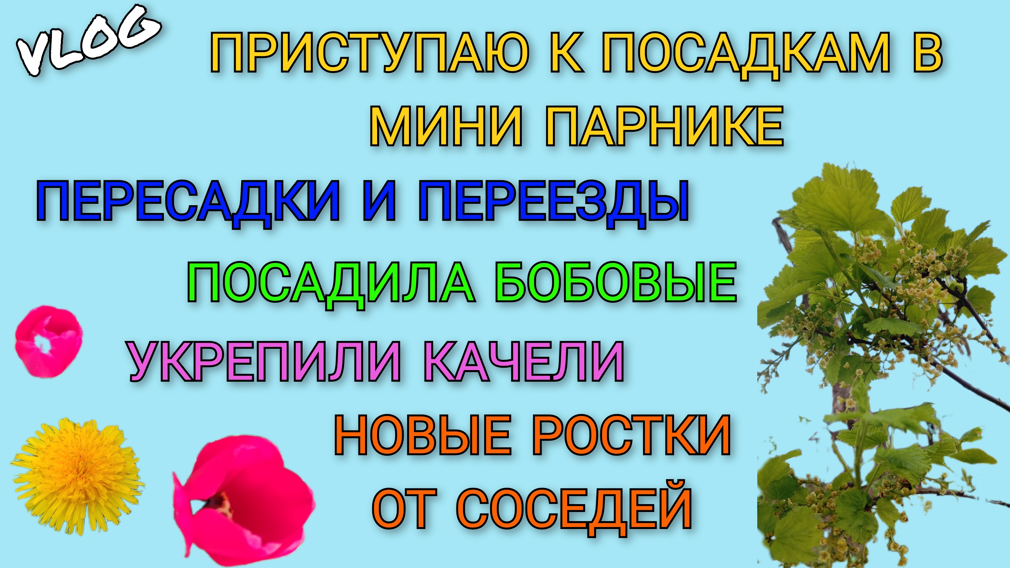 🍒VLOG: Приступаю к посадкам в мини парнике/ Пересадки и переезды/ Посадила бобовые/ Укрепили качели