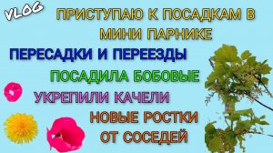 🍒VLOG: Приступаю к посадкам в мини парнике/ Пересадки и переезды/ Посадила бобовые/ Укрепили качели