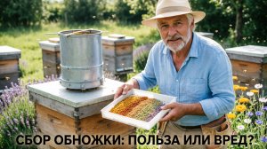Сбор обножки пыльцеуловителем: как не навредить пчёлам? Отвечает профессор Кашковский 🐝🌼