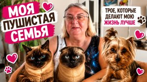Знакомьтесь: мои любимые питомцы! Самые милые моменты