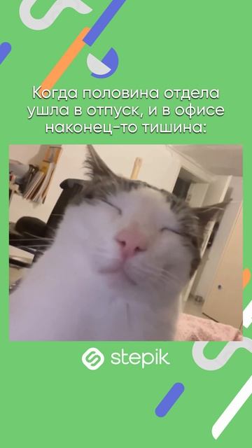 Ссылка на каталог в описании видео👇 А промокод STEPIKRUTUBE25 дает скидку 15% на любой курс Stepik смотреть онлайн