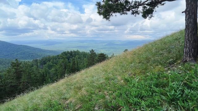 Егоза и Сугомак смотреть онлайн