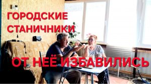 1283 От эксклюзива избавились.Чуть клубнику не загубили.Городские Станичники.