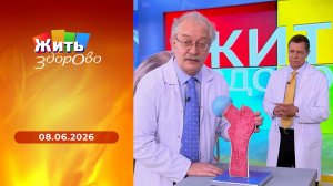 Жить здорово! Выпуск от 08.06.2026