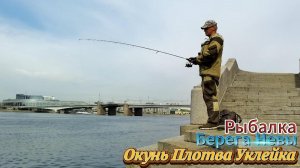 РЫБАЛКА ЖАРА КЛЁВ ОКУНЬ ПЛОТВА УКЛЕЙКА РЕКА НЕВА РЫБА ИДЁТ К БЕРЕГУ ВОДА ПРОГРЕЛАСЬ ТРАВА ПОДНЯЛАСЬ