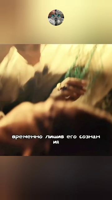 Нашли поддельный паспорт преступника
