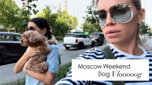 Наши выходные в Москве😤Ни минуты спокойствия🥵Последий переезд📦Изи Больна🆘Срочно к ветеринару🦠