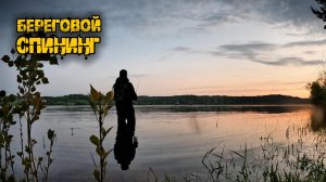 Спининг с берега на большой реке, рой судаков дубасит воблер, р.Кама.
