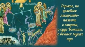 Горькое, но целебное лекарство