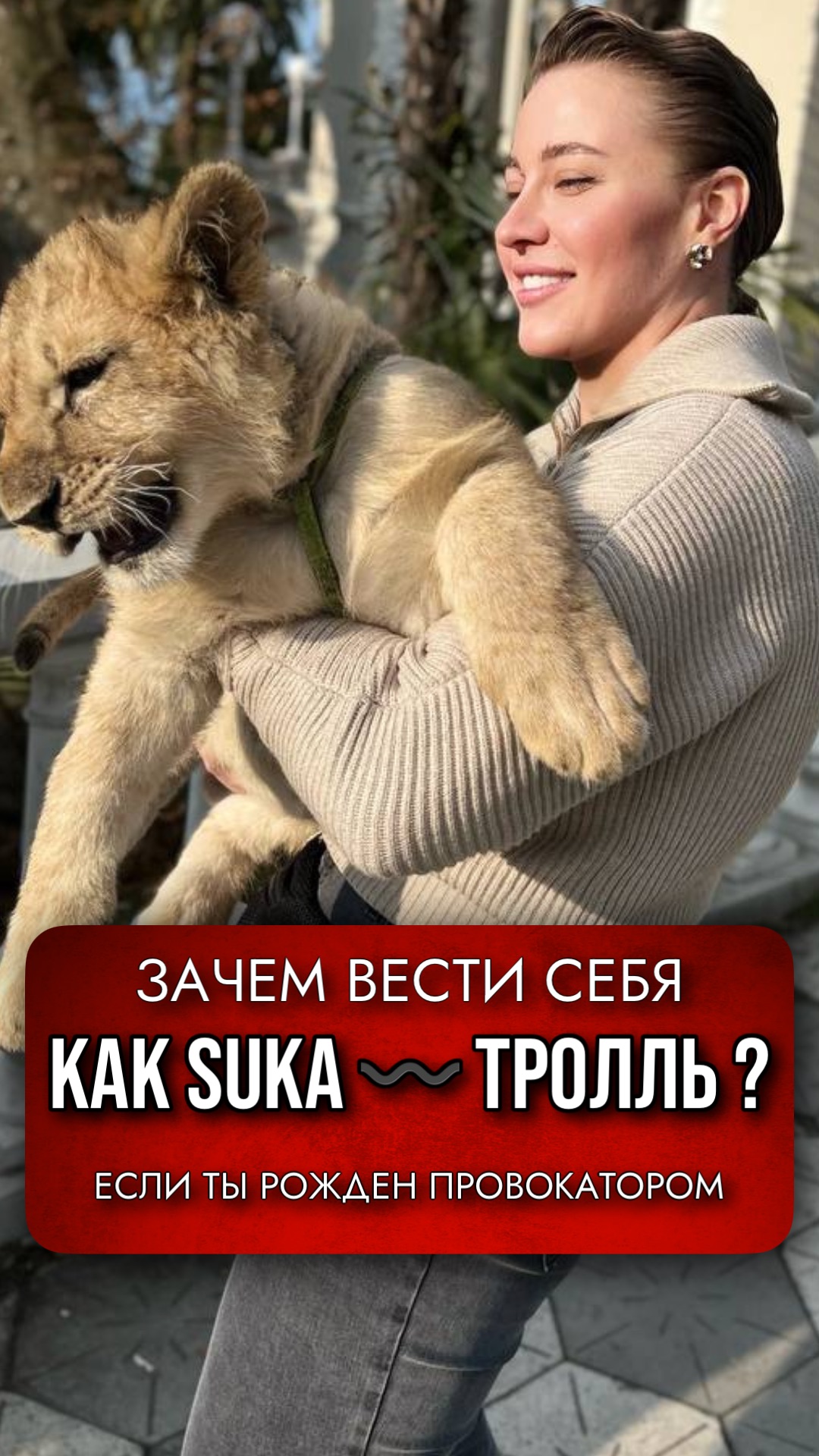 39 ворота провокации дизайн человека зачем себя вести как тролль Хейт хорошая девочка мальчик