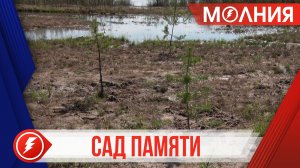 Около 300 деревьев высадили таркосалинцы в рамках акции «Сад памяти»