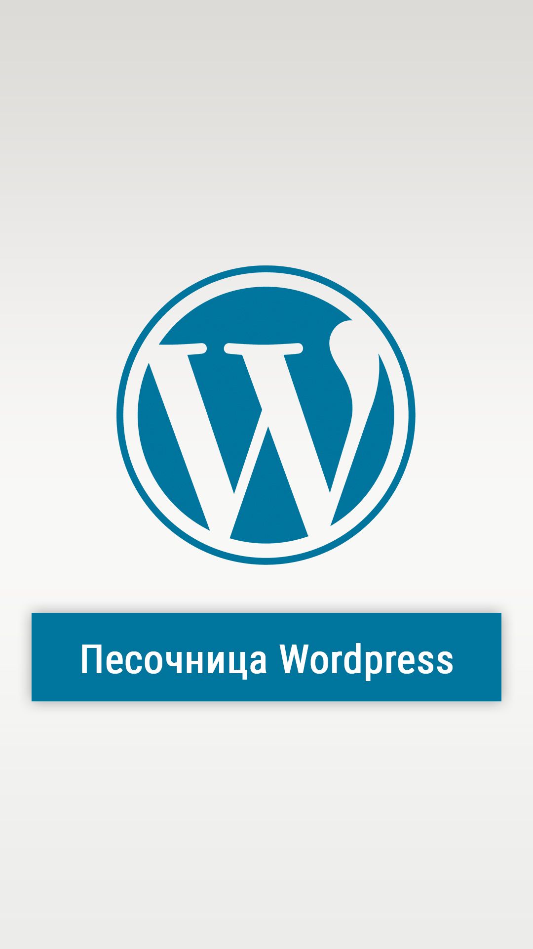 Что такое песочница WordPress и зачем она нужна? #shorts