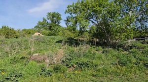 Дома больше нет, но детство живёт в сердце, а воспоминания возвращают меня туда ❤️