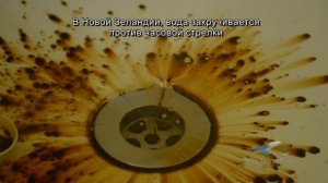 Куда закручивается вода? Эксперимент в Северном и Южном полушариях земли