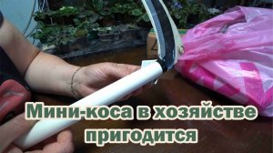 Обзор покупок с маркетплейсов: мини-коса для травы, носки, футболки, сгущенка «Рогачев»