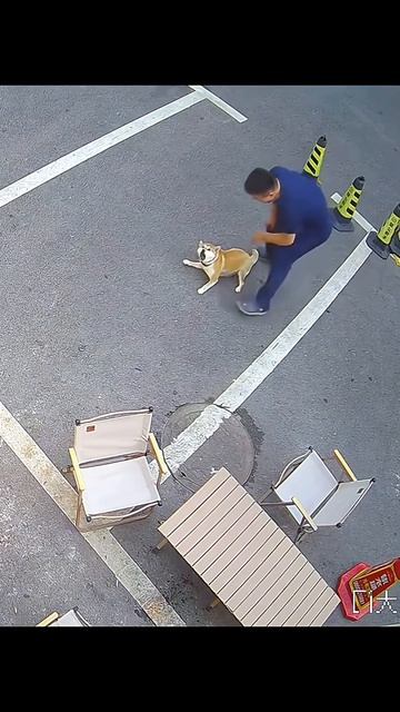 Неловкие песели. смотреть онлайн