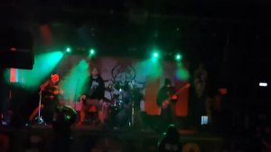 Цветный сны Live Viking 07 06 2026