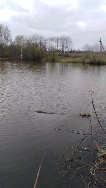 ✔Рыбалка🎣 на реке🌊. Часть 10✔