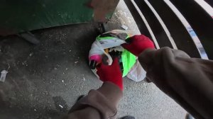 зарабатываю_лазая_по_контейнерам_Dumpster_Diving_RUSSIA